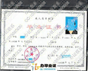 北京理工大学2004年成人毕业证