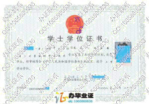 北京理工大学2008年网络教育学位证样本
