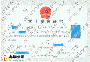 北京科技大学2009年成教学位证