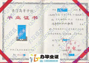 湖南农业大学1999年毕业证