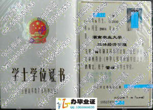 湖南农业大学2004年学位证样本