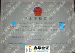 湖南农业大学2009年自考学位证