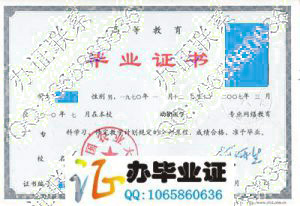 中国农业大学2010年网络教育毕业证