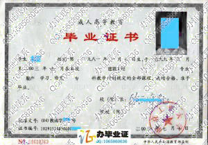 南京工业大学2003年成人毕业证书