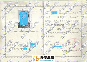 郑州工学院1993年成人教育毕业证