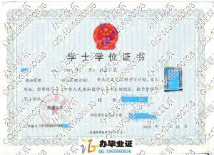 新疆大学2010年学士学位证书