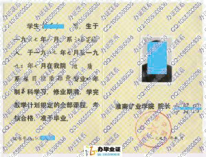 淮南矿业学院1993年毕业证