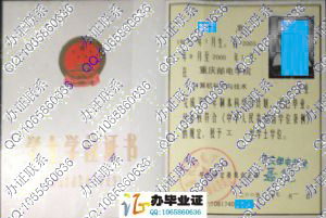 重庆邮电学院2005年学士学位证