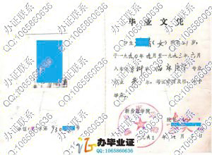 新乡医学院1993年大专毕业证