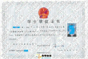 辽宁工程技术大学2008年专升本学位证
