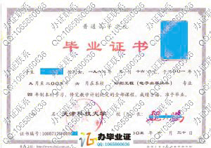 天津科技大学2005年印刷工程（电子出版技术）本科毕业证