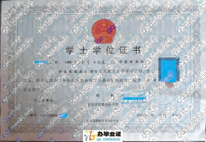 宁夏医学院2008年学位证书