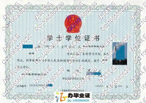 杭州电子科技大学2009年学位证书