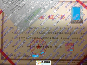 四川工程职业技术学院2013年大专毕业证