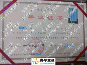 四川职业技术学院2013年毕业证