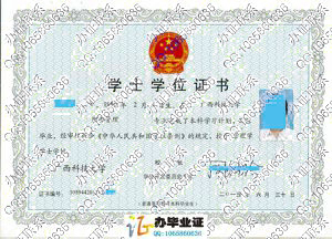 广西科技大学2013年学位证