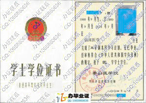 泰山医学院2004年学位证