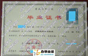 衡阳师范学院2006年毕业证样本