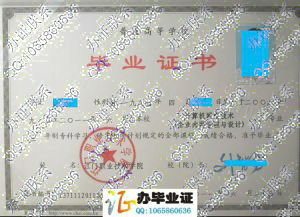 江门职业技术学院2011年毕业证