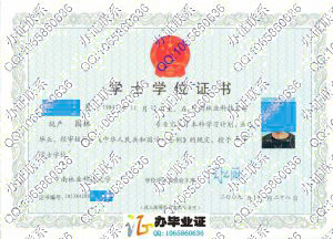 中南林业科技大学2009年成人学位证样本