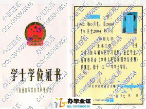 四川大学2004年学位证