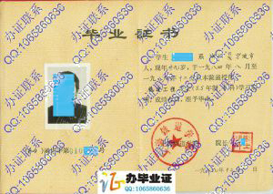 上海铁道学院1989年成人毕业证书