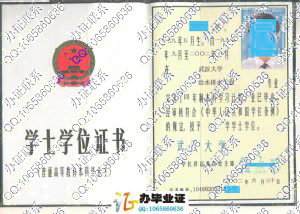 武汉大学2002年学位证