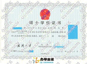 武汉大学2010年工程硕士专业学位证