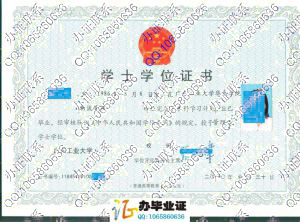 广东工业大学华立学院2010年学位证样本