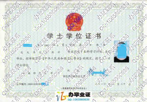 云南师范大学2010年学位证样本