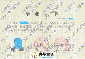 南京经济学院1999年自学考试毕业证书