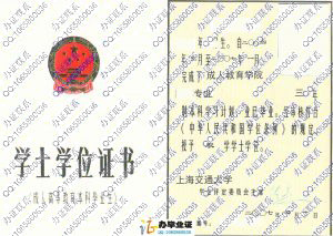 上海交通大学2007年学位证