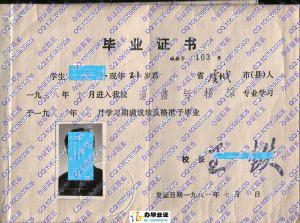 重庆市城市建设工程学校1981年毕业证