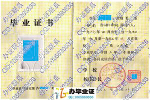 湖南省邵阳工业专科学校1993年毕业证