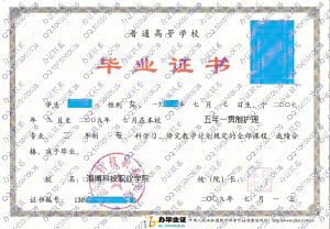 淄博科技职业学院2009年五年一贯制大专毕业证样本