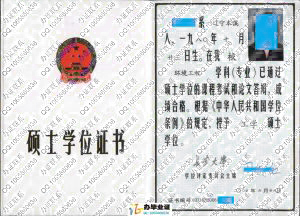 长安大学2006年硕士学位证书