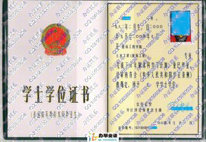 长安大学2004年学士学位证