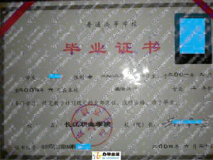 长江职业学院2004年毕业证样本