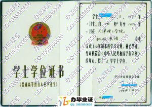 天津理工学院1994年学位证书