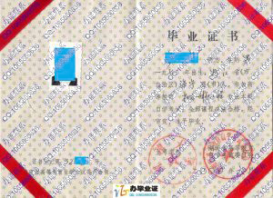 湖南大学2000年老版自考毕业证