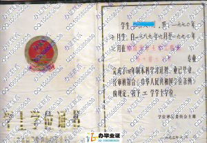 湖南大学1993年老式学位证