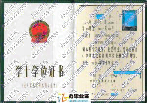 湖南大学2007年成人学位证书