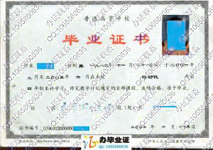天津理工大学2005年本科毕业证