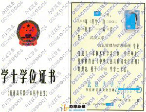 武汉大学2006年学位证书