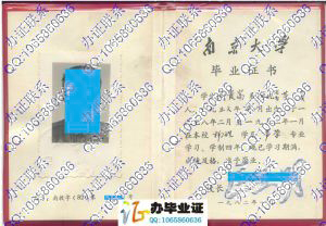 南京大学1982年毕业证