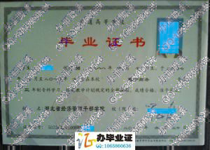 湖北省经济管理干部学院2010年专科毕业证