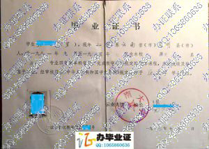 云南大学1985年毕业证