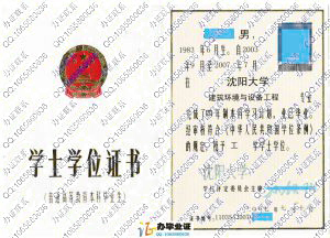 沈阳大学2007年学位证