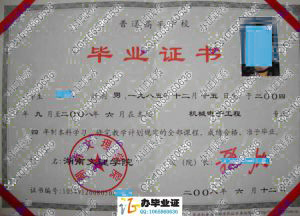 湖南文理学院2008年毕业证