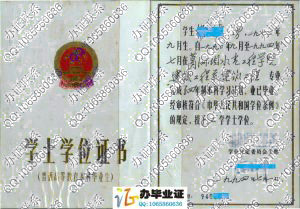 葛洲坝水电工程学院1994年老版学位证书